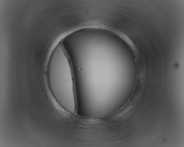 X0000093441144200710120940