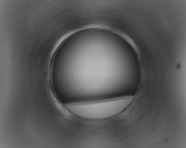 X0000093441148200710120940
