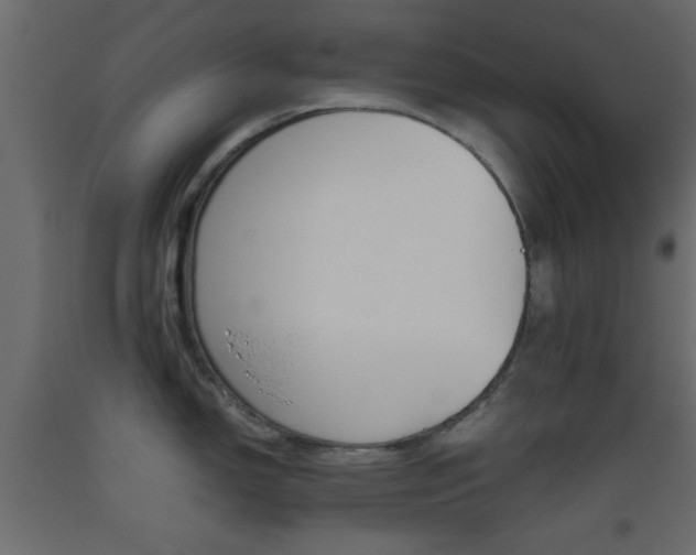X0000093441150200710120940
