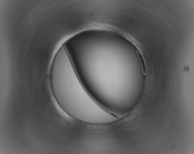 X0000093441152200710120940