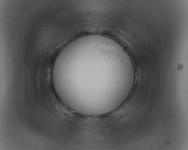 X0000093441154200710120940