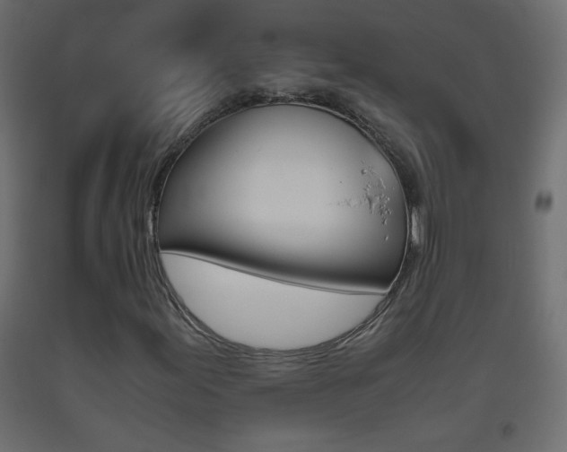 X0000093441155200710120940