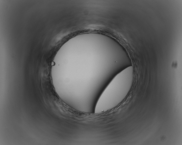 X0000093441158200710120940