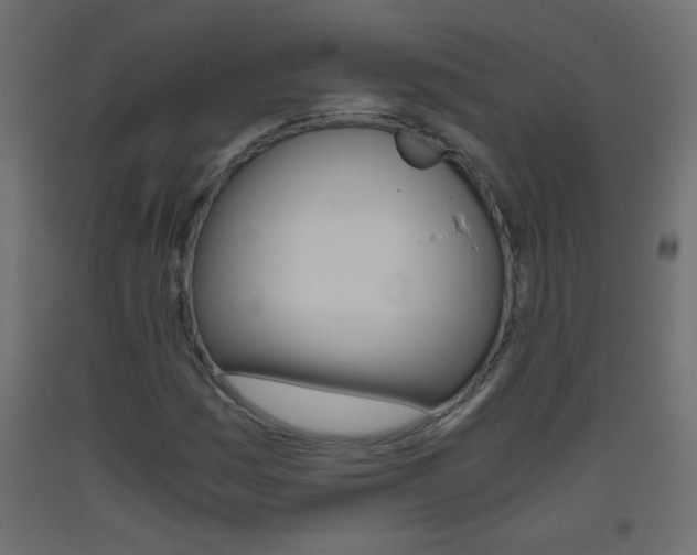 X0000093441161200710120940