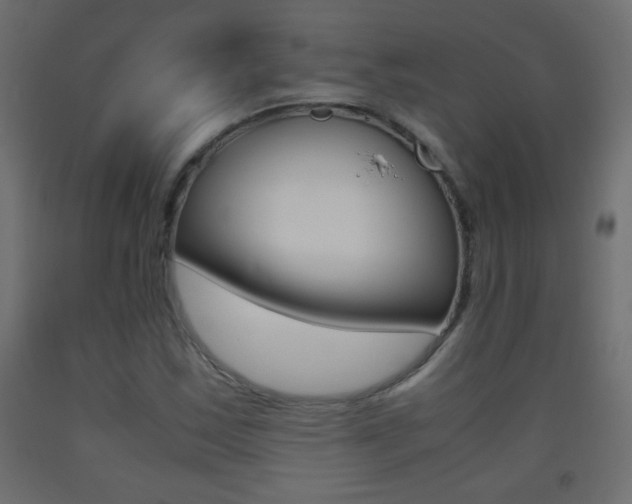 X0000093441163200710120940