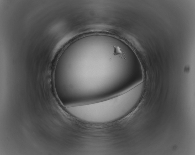 X0000093441164200710120940