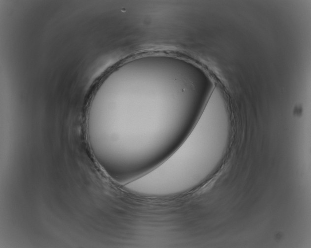 X0000093441165200710120940