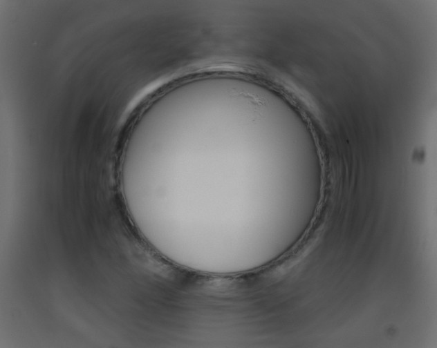 X0000093441166200710120940
