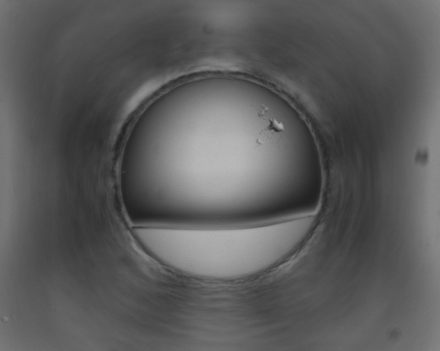 X0000093441168200710120940