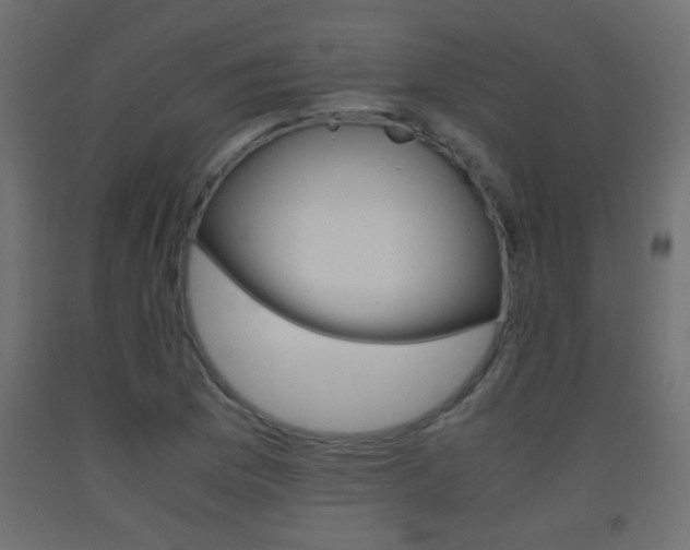 X0000093441169200710120940