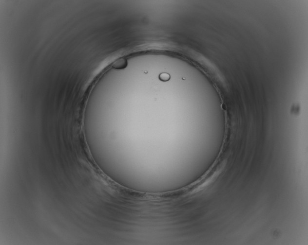 X0000093441170200710120940