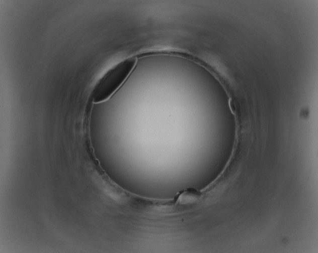 X0000093441173200710120940
