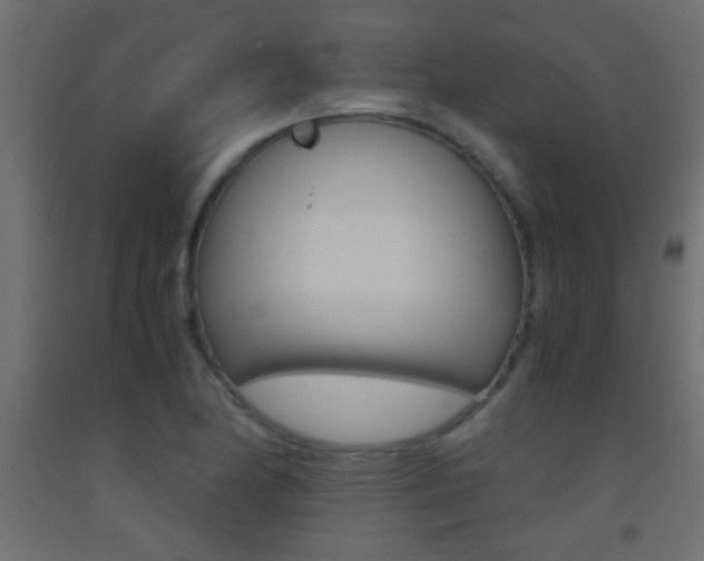 X0000093441174200710120940