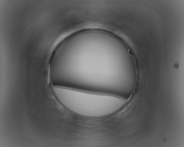 X0000093441175200710120940