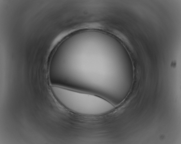 X0000093441176200710120940