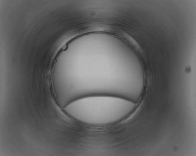X0000093441178200710120940