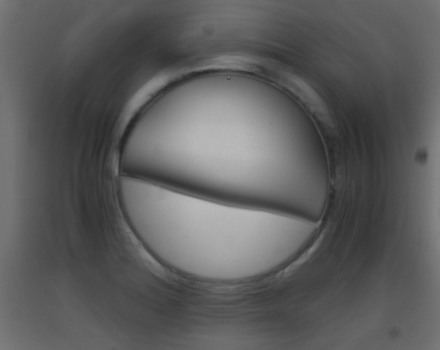 X0000093441180200710120940
