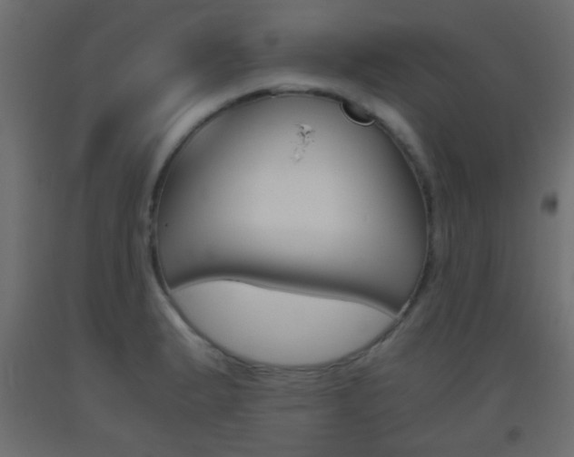 X0000093441183200710120939