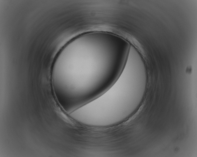 X0000093441184200710120939