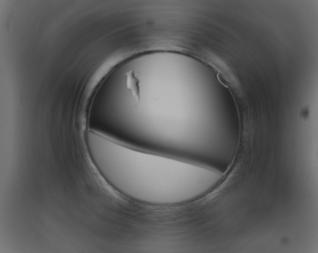 X0000093441188200710120939