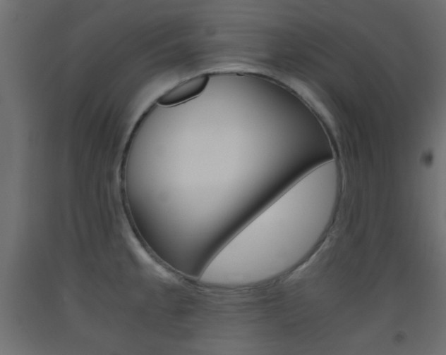 X0000093441189200710120939