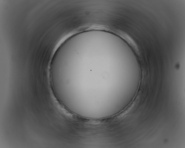 X0000093441190200710120939