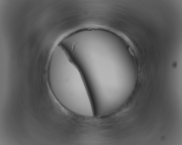 X0000093441191200710120939