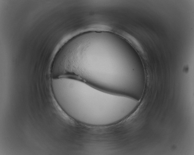 X0000093441192200710120939