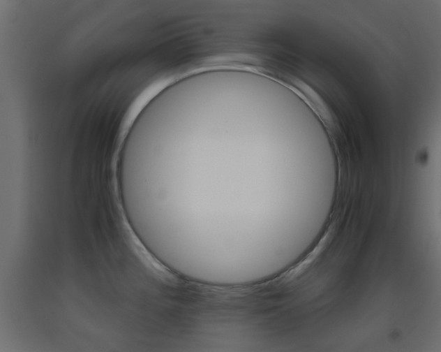 X0000093441196200710120939