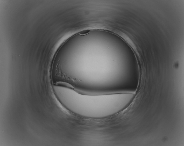 X0000093441197200710120939