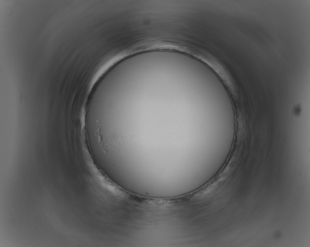 X0000093441198200710120939