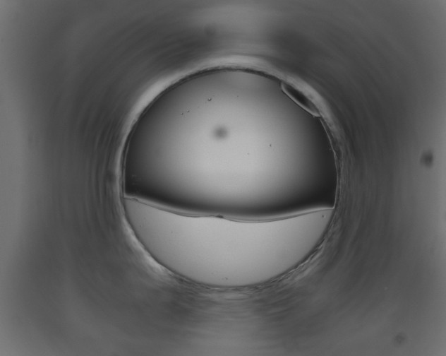 X0000093441199200710120939