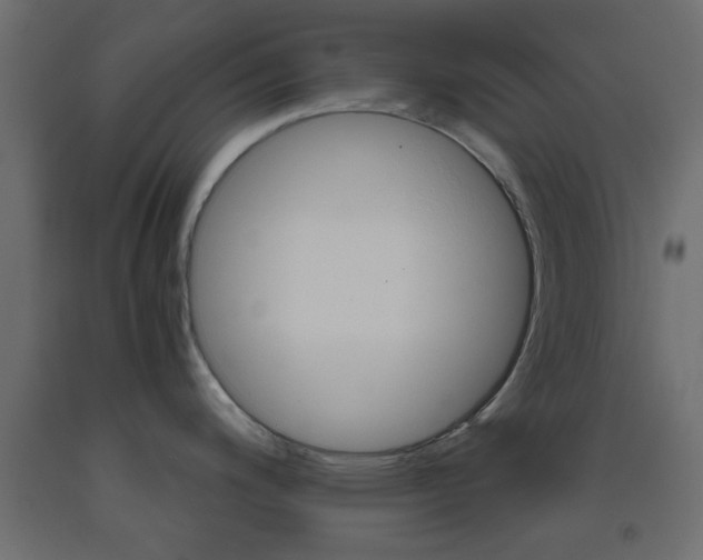 X0000093441200200710120939