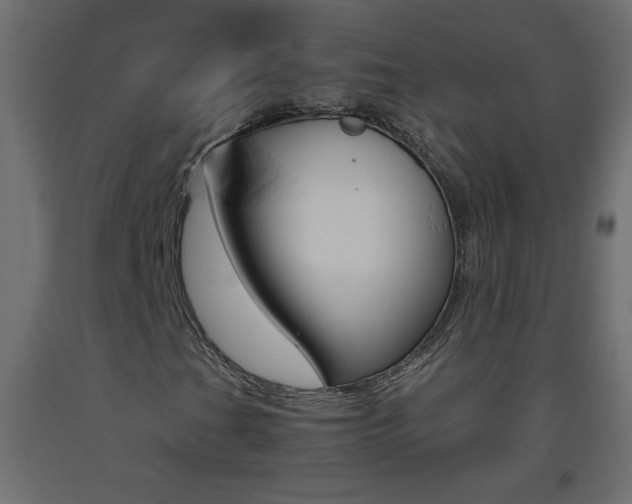 X0000093441201200710120939