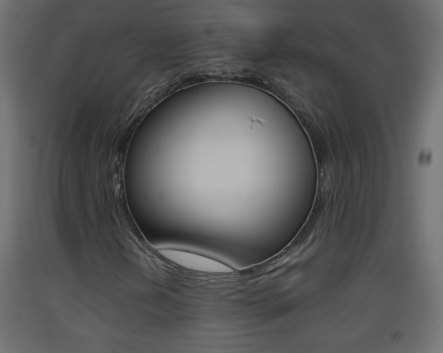 X0000093441202200710120939