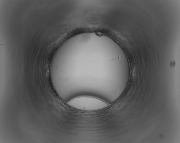 X0000093441204200710120939