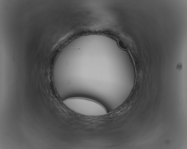 X0000093441205200710120939