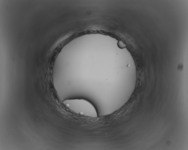 X0000093441207200710120939