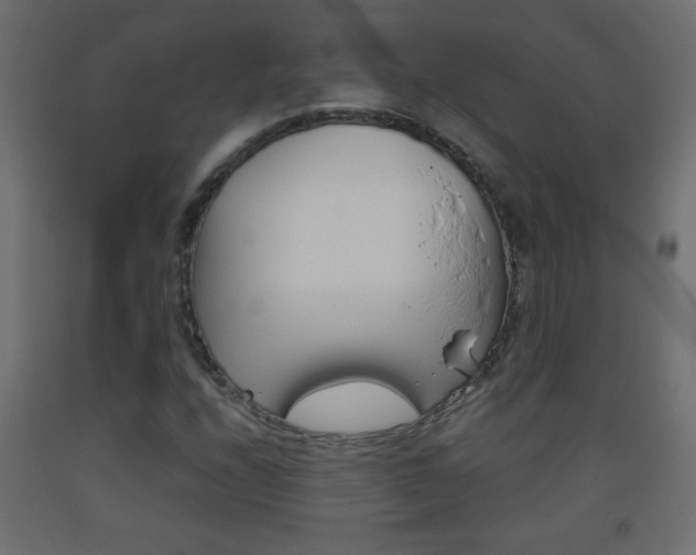 X0000093441208200710120939