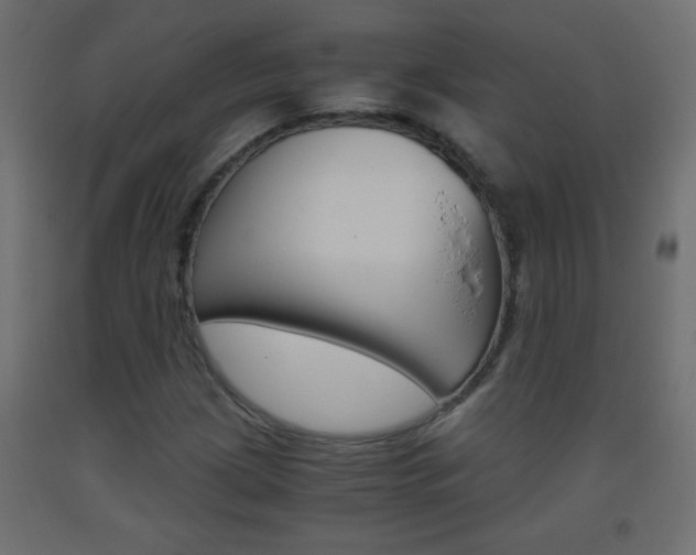 X0000093441209200710120939
