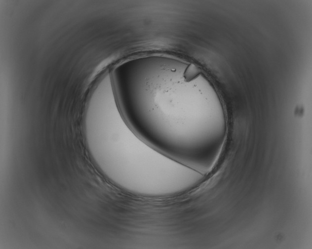 X0000093441210200710120939