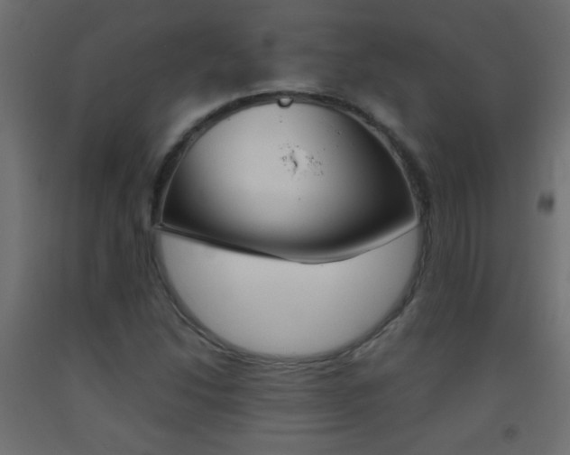 X0000093441214200710120939