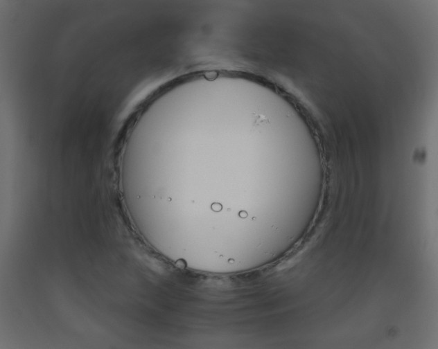 X0000093441215200710120939