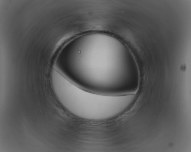 X0000093441218200710120939