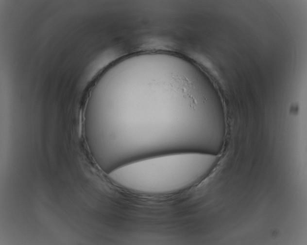 X0000093441219200710120939