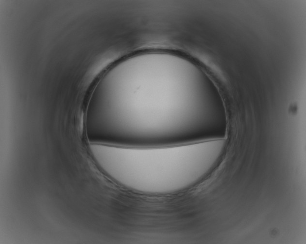 X0000093441221200710120939