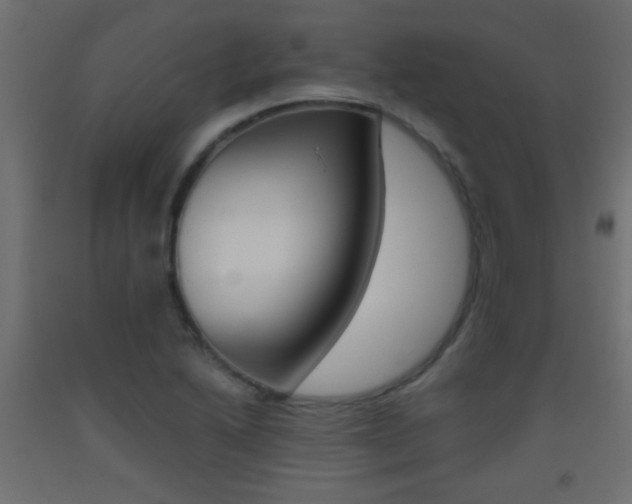 X0000093441222200710120939