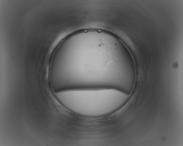 X0000093441224200710120939