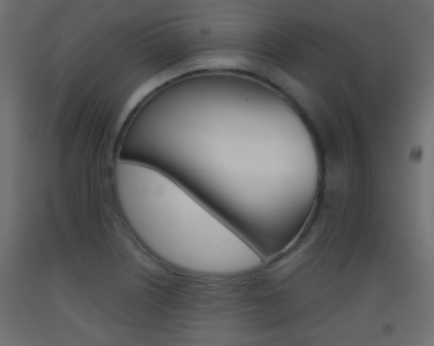 X0000093441226200710120939