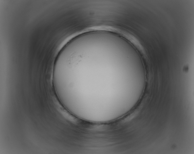 X0000093441228200710120939